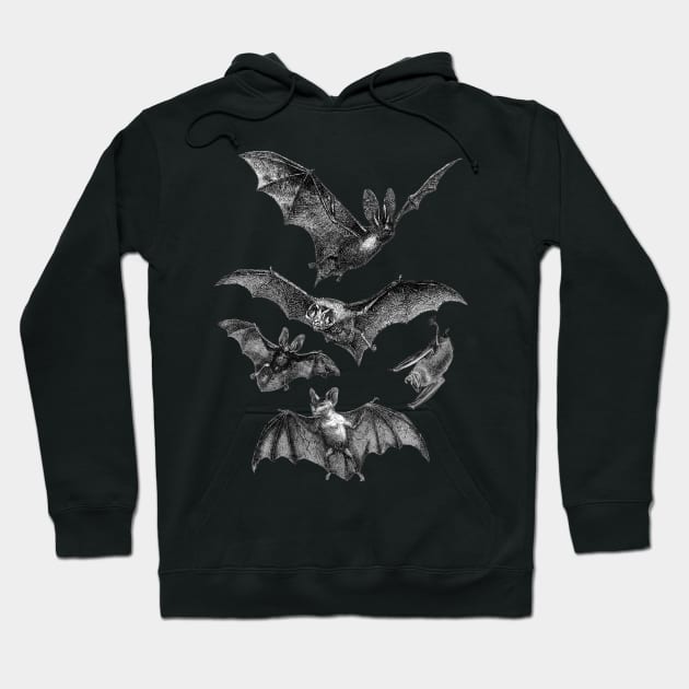 Release the Bats Hoodie by becauseskulls